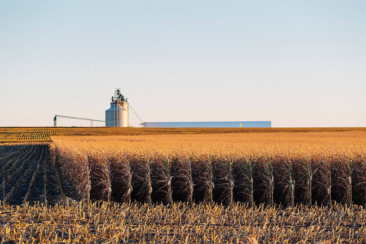 South Dakota Corn Growers Association Foolishly Endorses RL21, Agenda 2030 Eminent Domain Power Grab